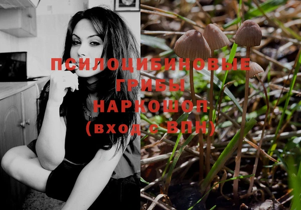 гидропоника Абаза
