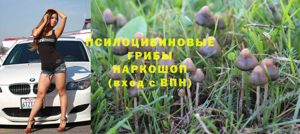 гидропоника Абаза