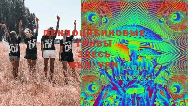 гидропоника Абаза