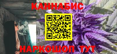 гашик Ирбит