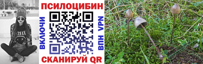 Псилоцибиновые грибы прущие грибы  Подольск 