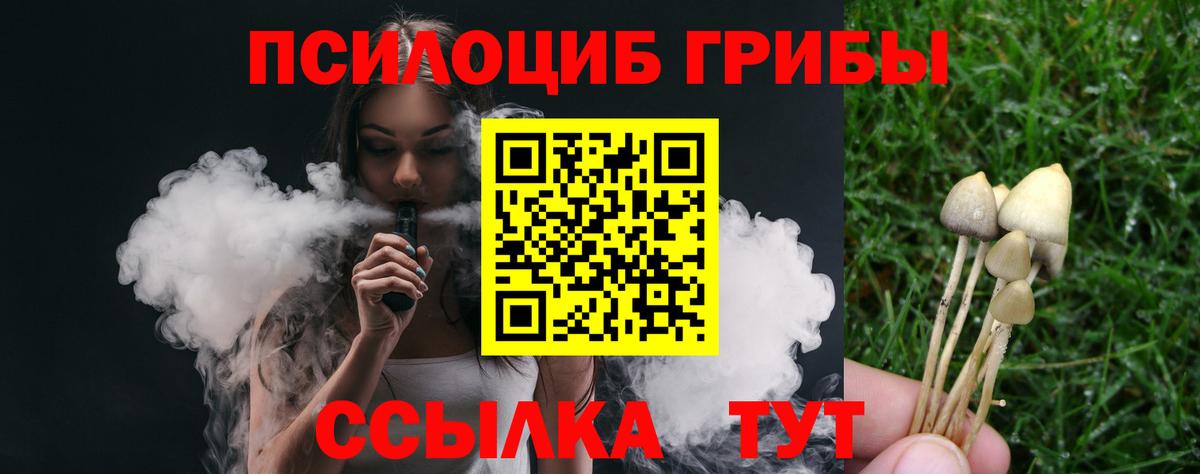 Псилоцибиновые грибы Cubensis  Галлюциногенные грибы Psilocybe  Вход с VPN  Подольск 